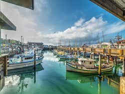 Barcos em Fishermans Wharf