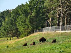 Golden Gate Park