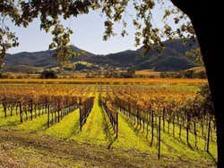 Valle del Napa