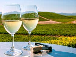 Degustando vinho