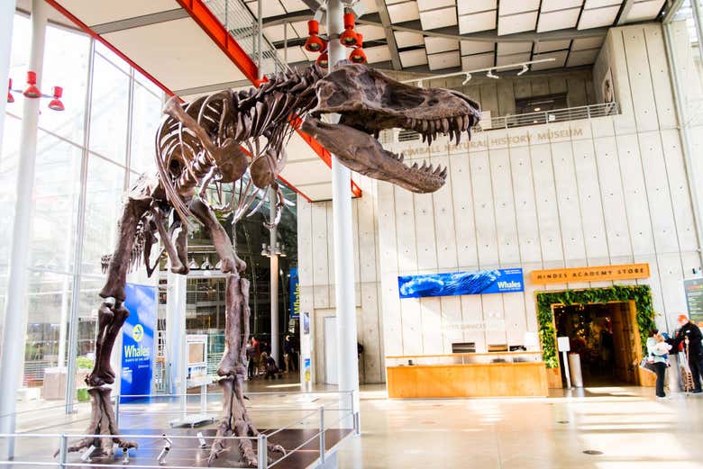 Tiranossauro rex